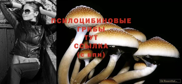 прущая мука Мегион