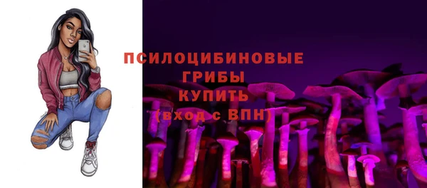 прущая мука Мегион