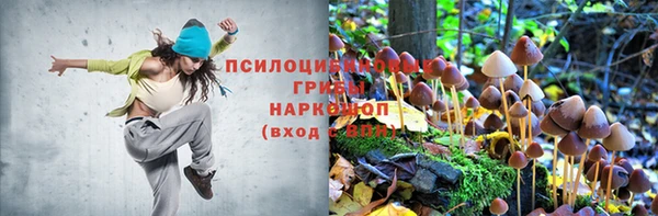 прущие крисы Медногорск