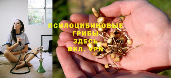 спиды Медвежьегорск