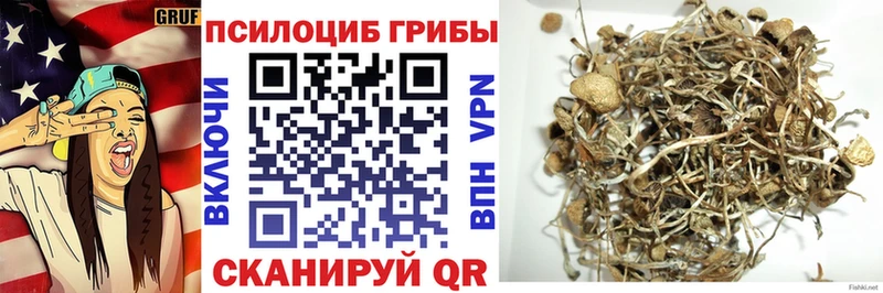 Купить закладки  Петровск-Забайкальский  Галлюциногенные грибы MAGIC MUSHROOMS 