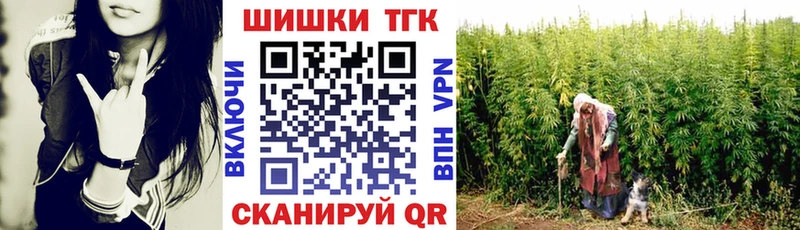Купить  Петровск-Забайкальский  Каннабис OG Kush 